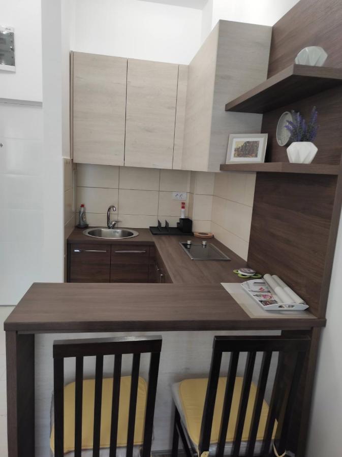 Studio Apartman Dani Banja Koviljača Extérieur photo
