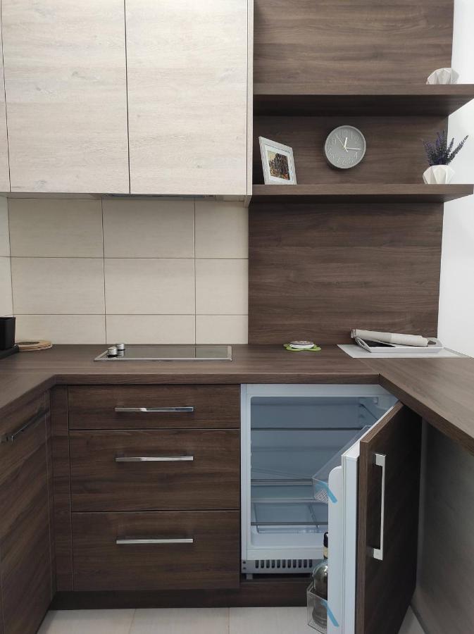Studio Apartman Dani Banja Koviljača Extérieur photo