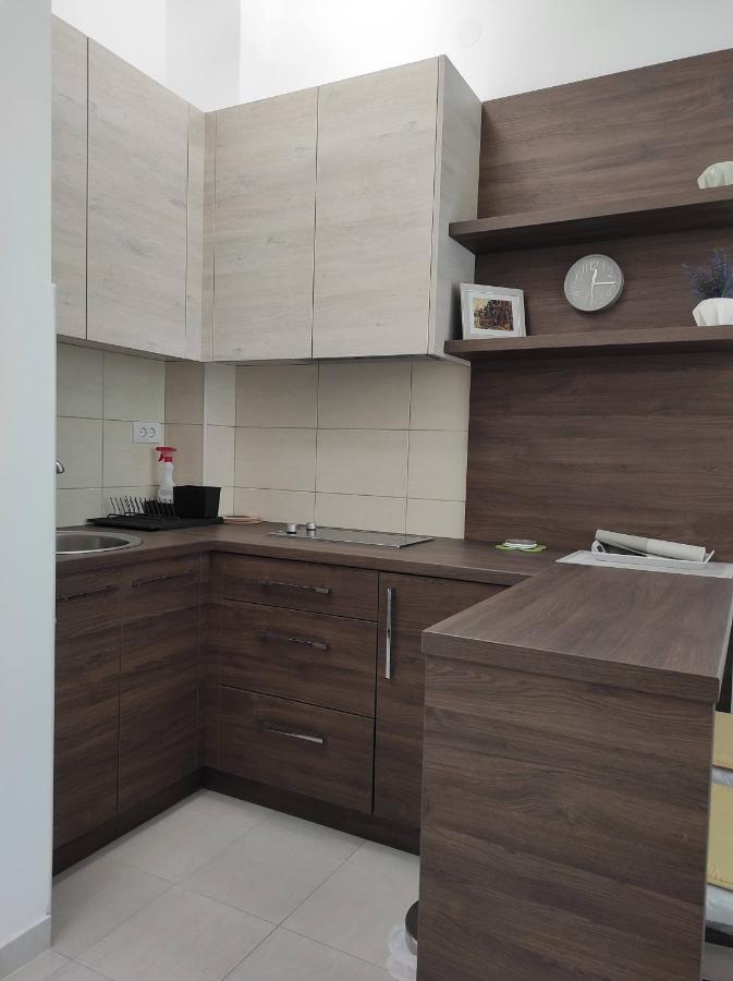 Studio Apartman Dani Banja Koviljača Extérieur photo